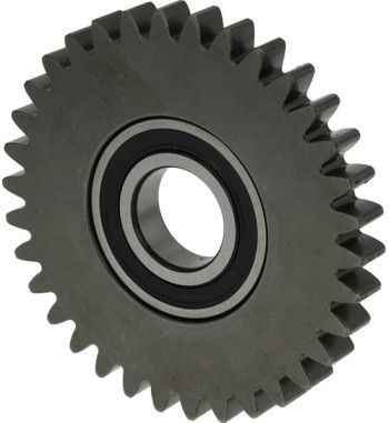 153845904