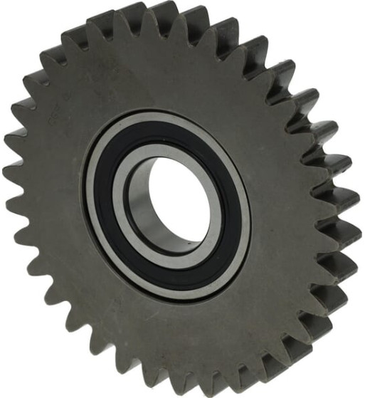 153845904 153845904