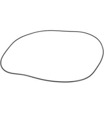 150691905