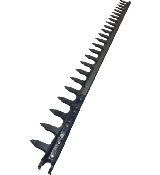 161821RM 161821RM