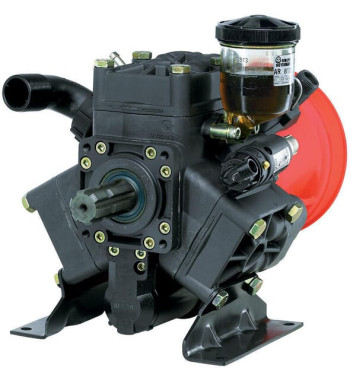 16293AR