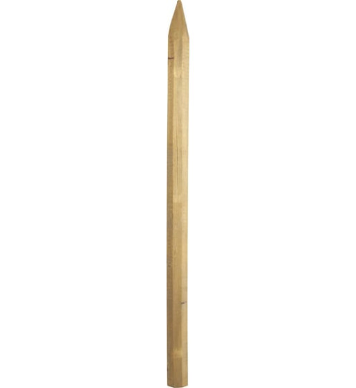 1666261425 1666261425