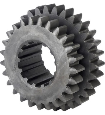 26900050419500
