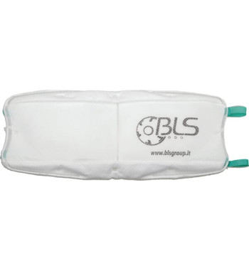 1955BLS8006172