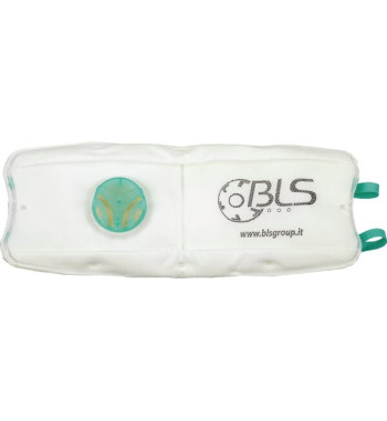 1955BLS8006173