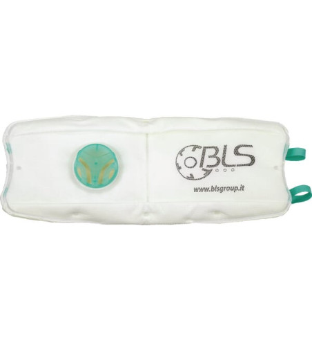 1955BLS8006173
