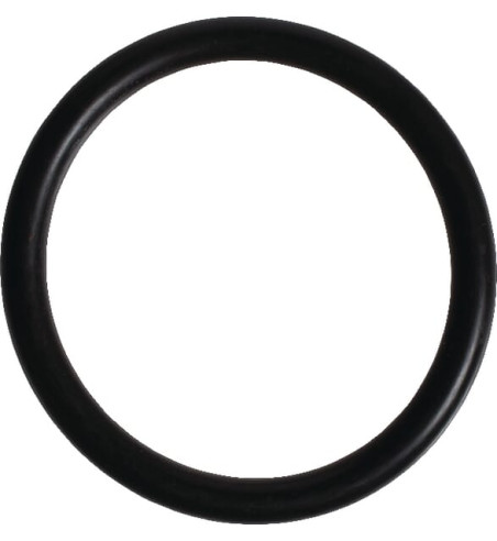 215300820