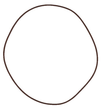 215391180