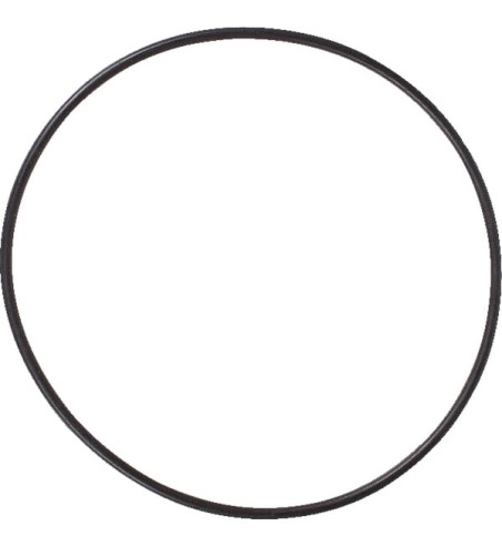 215305010