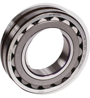 22209EC3SKF