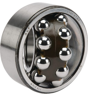2312SKF