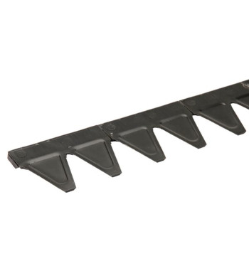 2480060