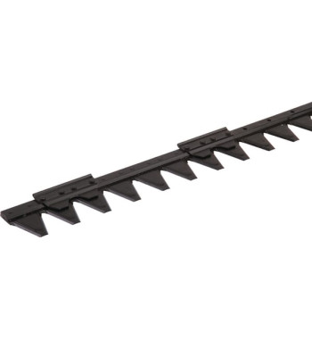 2480020