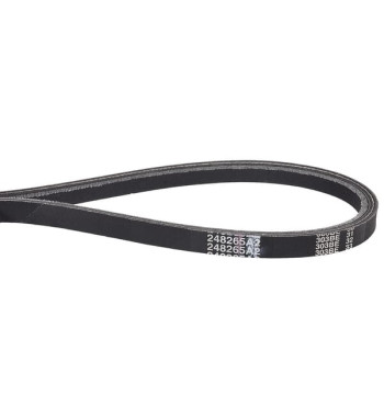 248265A2