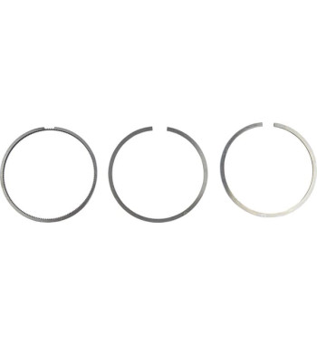 00810090610