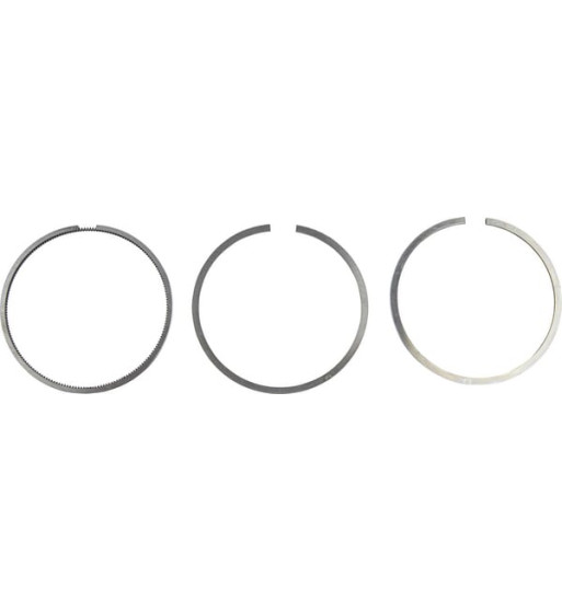 00810090610 00810090610