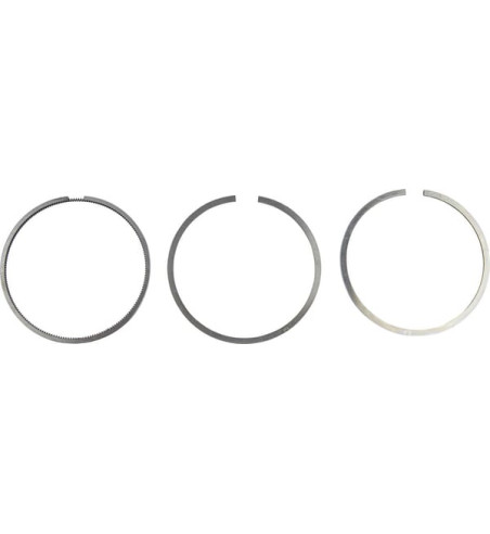 00810090610