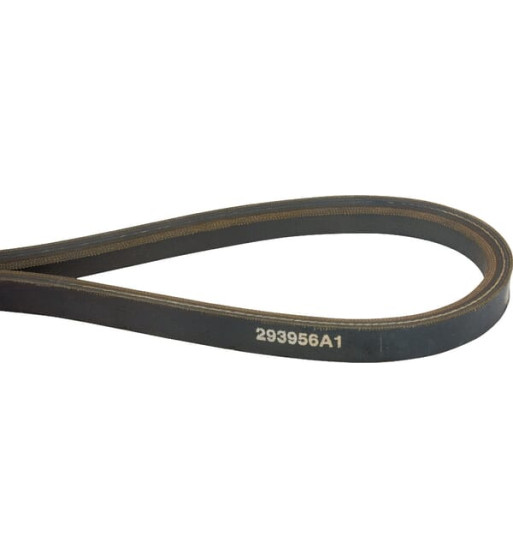 293956A1