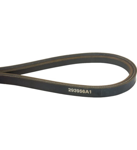 293956A1