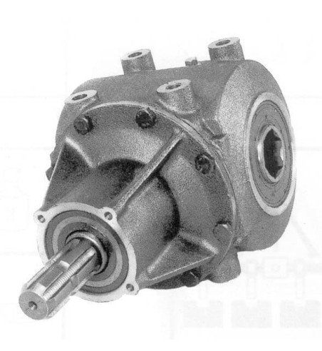 278524