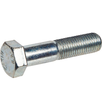 3013884