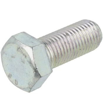 3015404