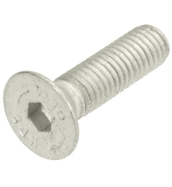 3016104