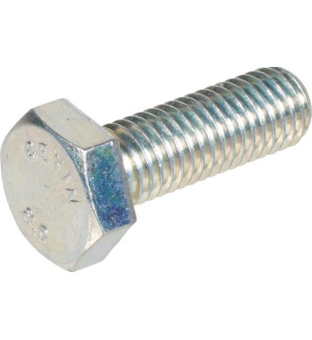 3015004