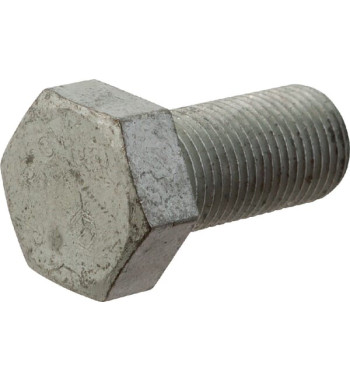 3013666