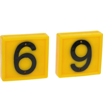 306069FA