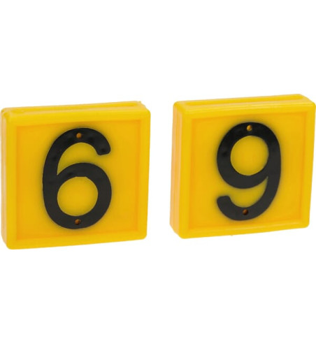 306069FA