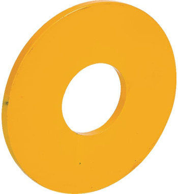 303064