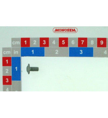 30500062